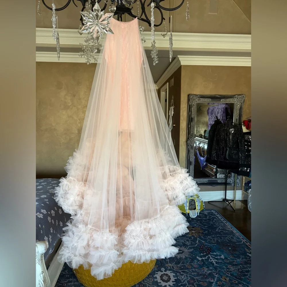 Pink Ruffled Dress - Picture 3 of 4